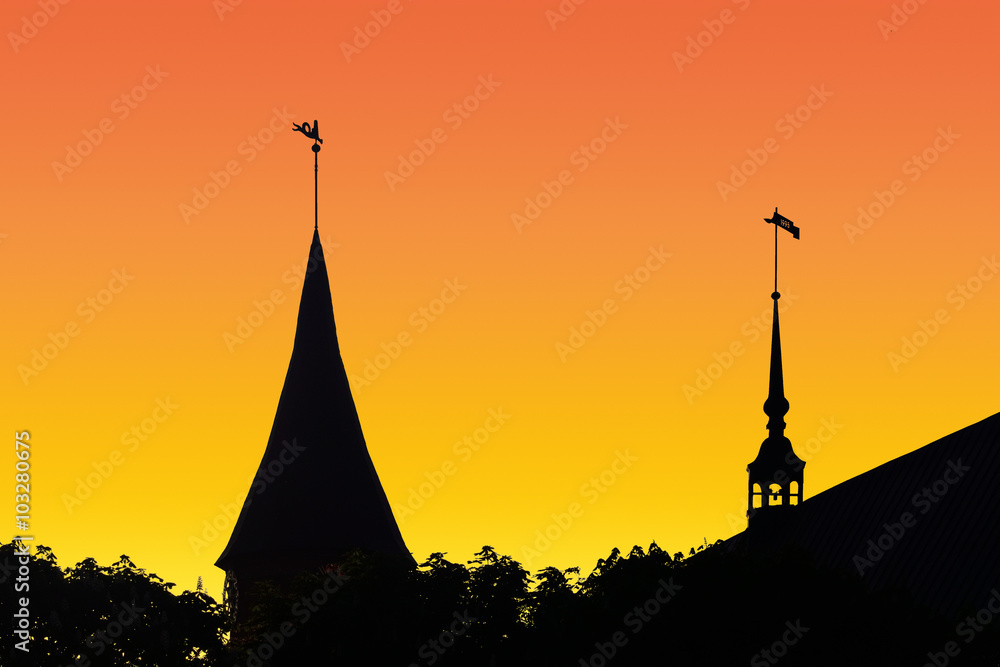 Obraz premium Silhouette Konigsberg Cathedral at sunset. Kaliningrad, Russia