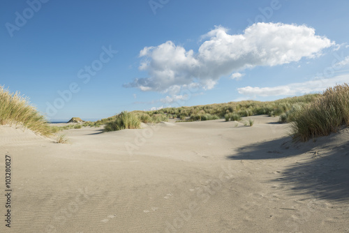 Traces in the dunes.