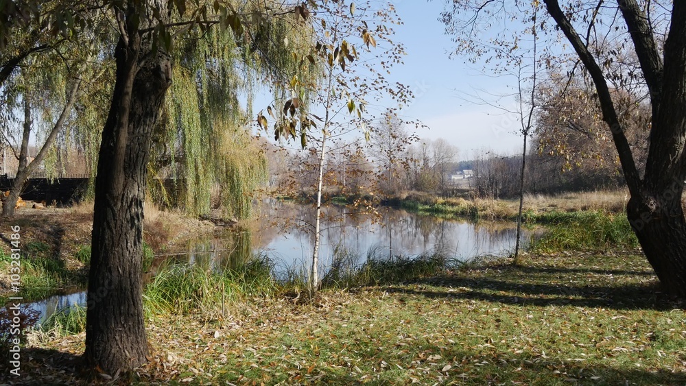 camera movement through the green lawn with birch bluish distance to the river autumn warm day camera movement through the green lawn with birch bluish distance to the river autumn warm day