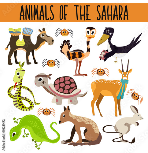 Set of Cute cartoon Animals and birds in hot deserts isolated on white background. Camel, turtle, Jackal, lizard, snake, ostrich, spider. Vector
