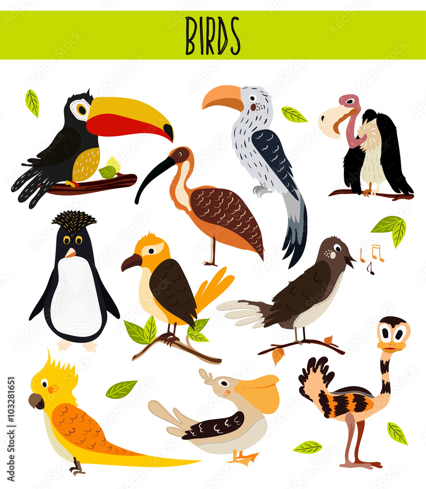 Fototapeta premium Set of Cute cartoon Animals birds living in different corners of the planet the forests and the jungles. Toucan, vulture, parrot, penguin, ostrich, EMU, cockatoo, Pelican, Nightingale Vector