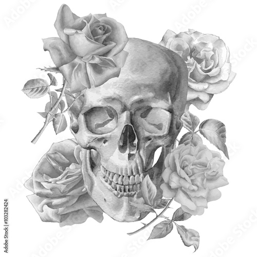 Monochrome illustration with skull and roses