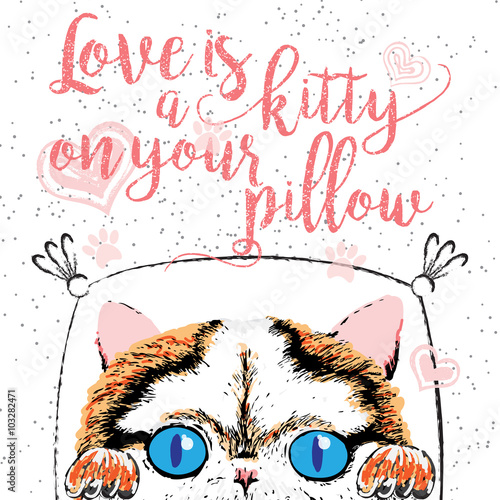 Love is a kitty on your pillow  love quote about pets. Vector outstanding lettering  calligraphy  motivational typography post card. Cute  friendly  smiling  inspirational cat with hearts and sparkle.