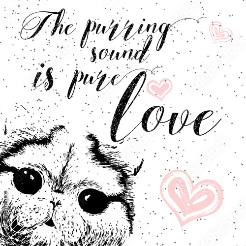 The purring sound is pure love, greeting card and motivational quote for pet lovers with typographic design. Cute friendly smiling cat face with hearts and sparkle. Hand lettered message, calligraphy.