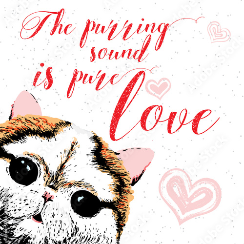 The purring sound is pure love, hand drawn card and lettering calligraphy motivational quote for cat lovers and typographic design. Cute, friendly, smiling, inspirational cat with hearts and sparkle. 