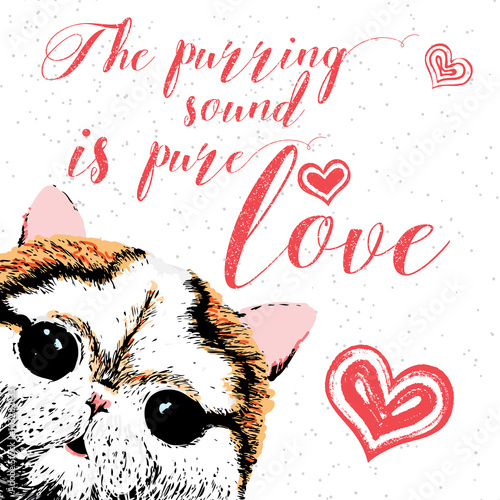 The purring sound is pure love, hand drawn card and lettering with cute cat