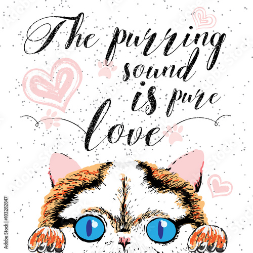The purring sound is pure love, hand drawn card and lettering calligraphy motivational quote for cat lovers and typographic design. Cute, friendly, smiling, inspirational cat with hearts and sparkle. 