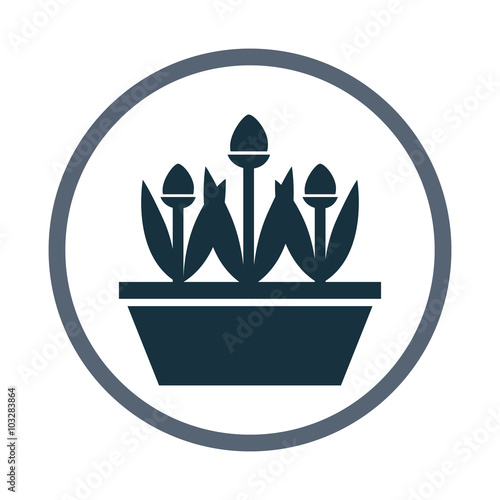 Flowers in the pot icon