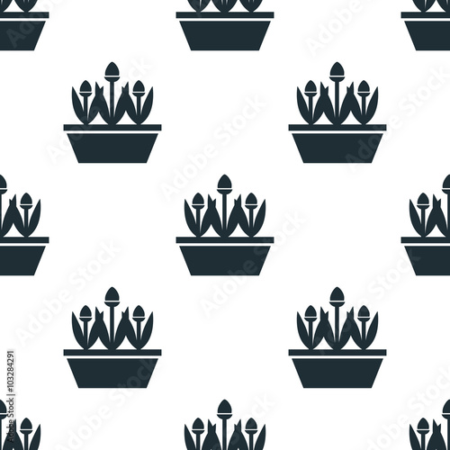 Flowers in the pot icon
