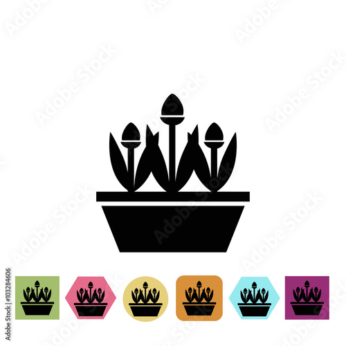 Flowers in the pot icon