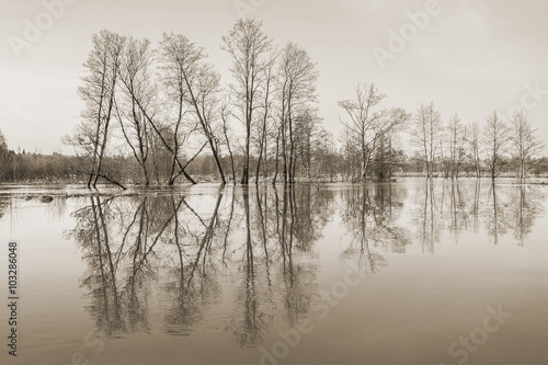 Picture of spring flood toned in sepia