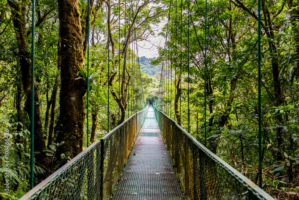Obraz premium Wiszące mosty w Cloudforest - Monteverde, Kostaryka