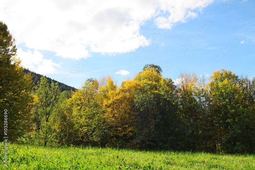 autumn season in a village autumn season in a village