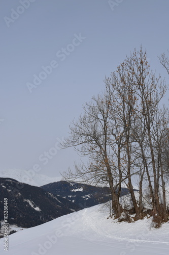 Osttirol, Kartitsch, Hollbruck, St. Oswald, Winter, Tiroler Gailtal, Bauernhäuser, Lienzer Dolomiten photo