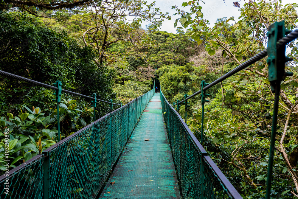Hanging Bridges in Cloudforest - Costa Rica