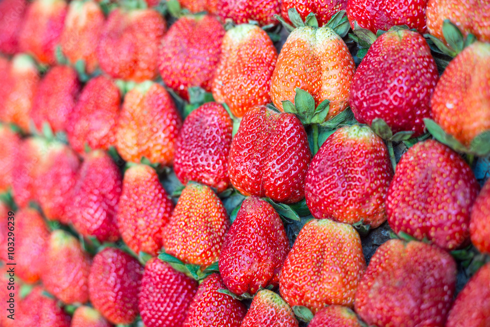Fresh many strawberry Fresh many strawberry