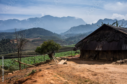 Vietnamese riece fields in mountains in Sapa photo