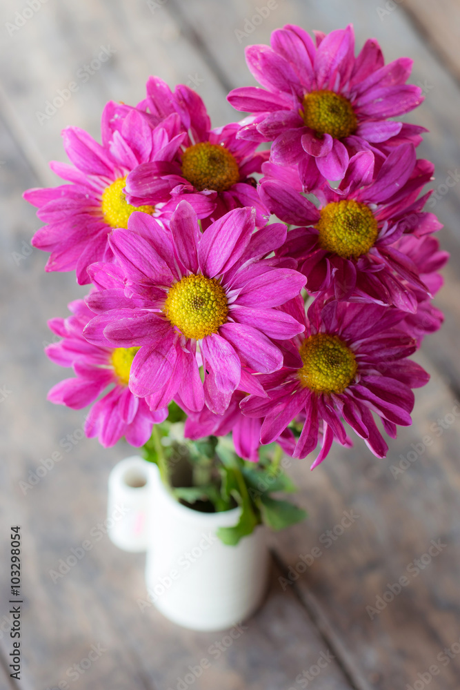 Fototapeta premium pink flower