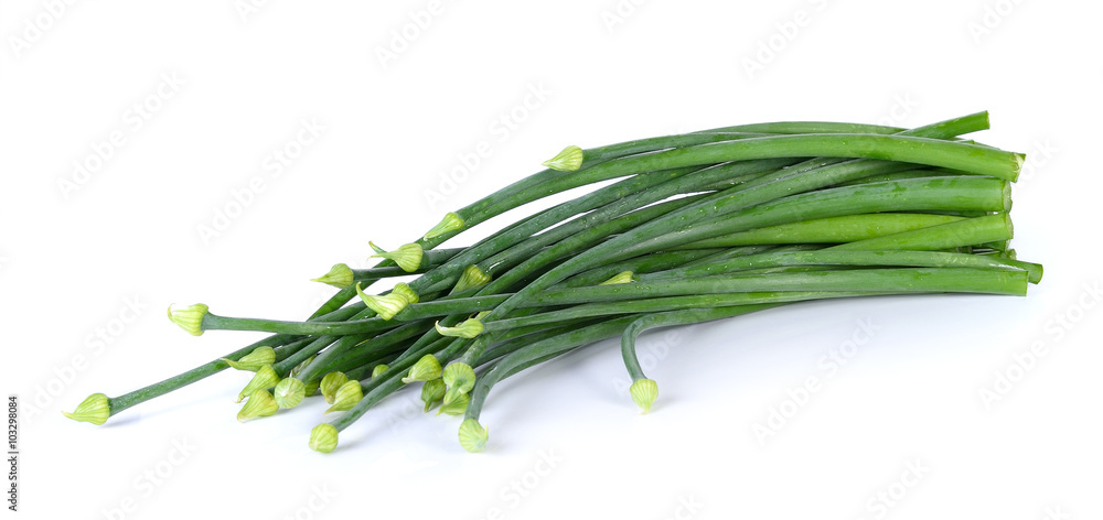 Onion flower isolated on a white background Onion flower isolated on a white background