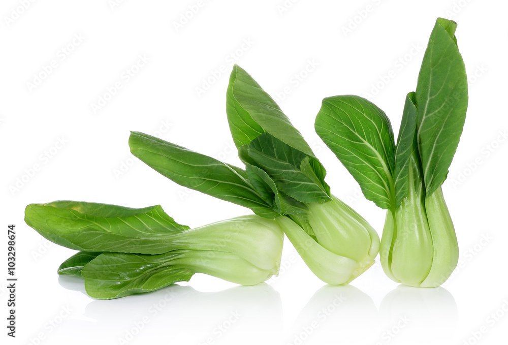 Bok choy vegetable on white background Bok choy vegetable on white background