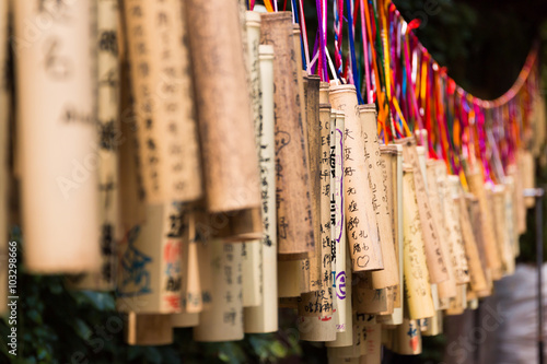 Bamboo with wishes written on them, Taiwan