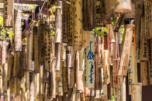 Bamboo with wishes written on them  Taiwan