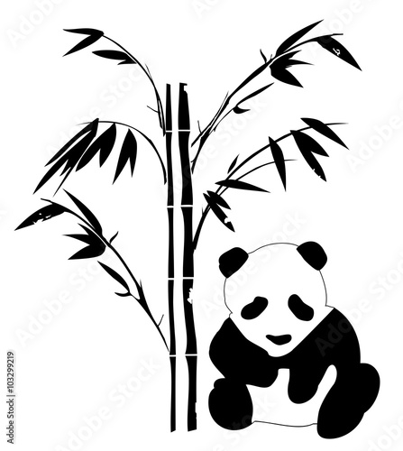 Fototapeta Naklejka Na Ścianę i Meble -  Panda With Bamboo