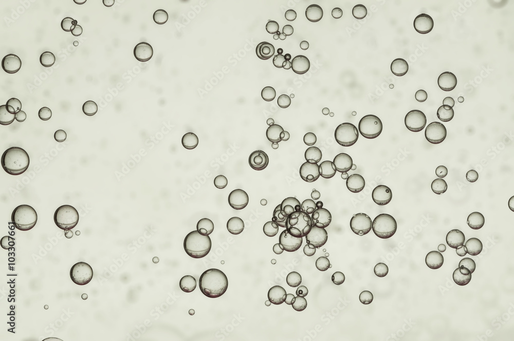 Bubbles Bubbles