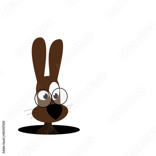 Hase