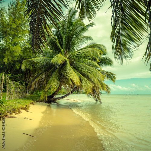 Tropical beach with  vintage style