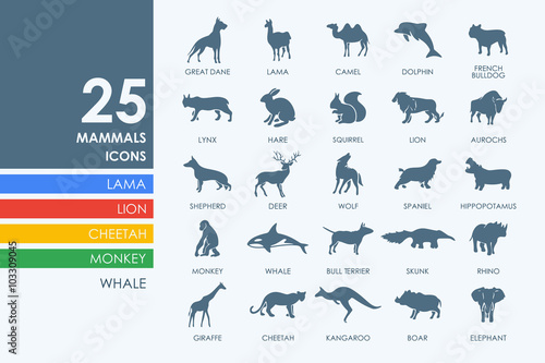 Set of mammals icons