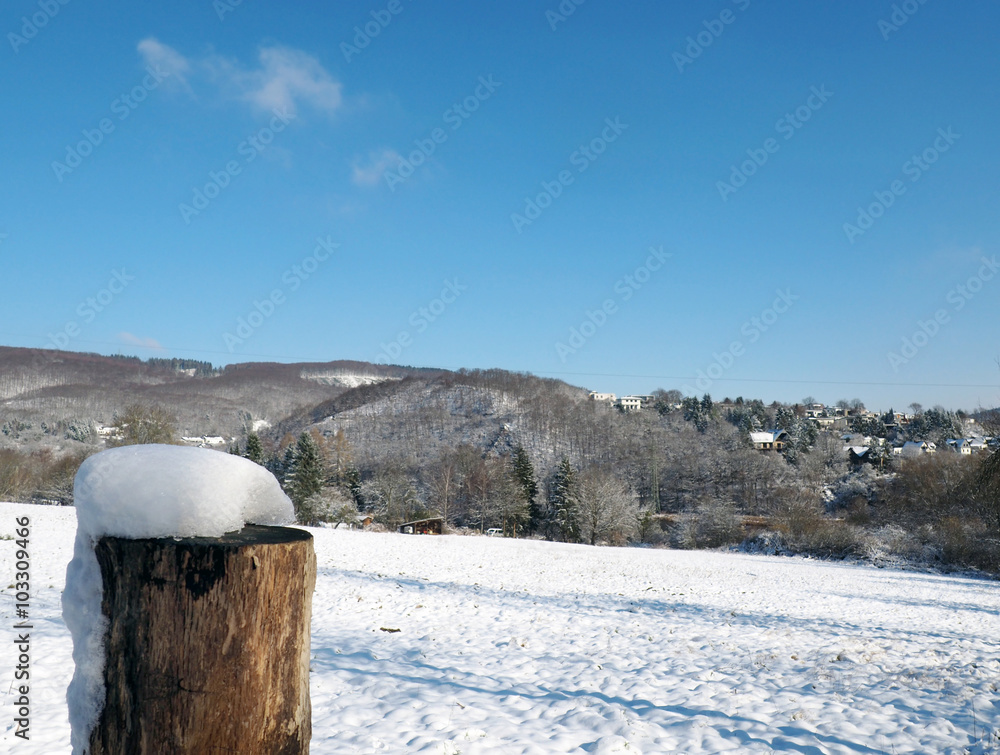 Snow forest mountain landscape in Eifel National Park Germany