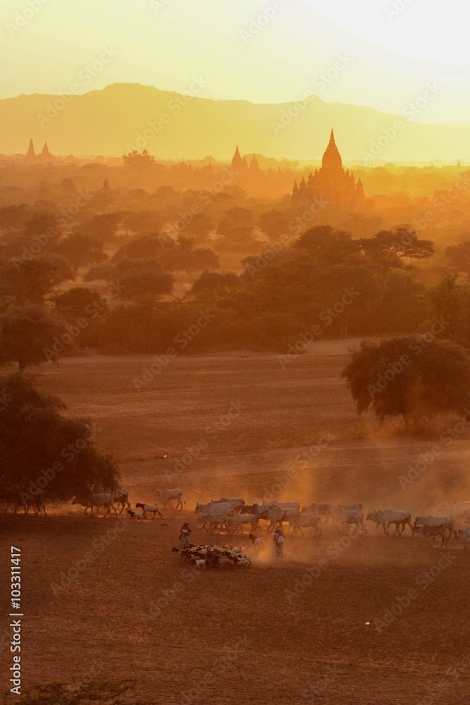 Obraz premium Pagodas in Myanmar during sunset