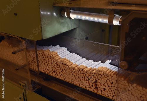 Obraz na plátně Cigarettes production line in a tobacco factory
