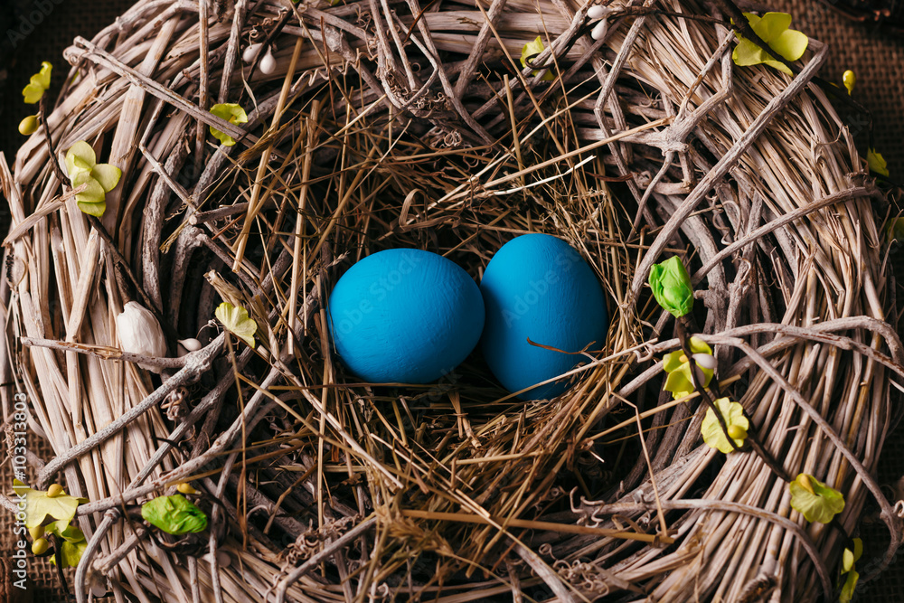 Blue Easter eggs in bird nest Blue Easter eggs in bird nest
