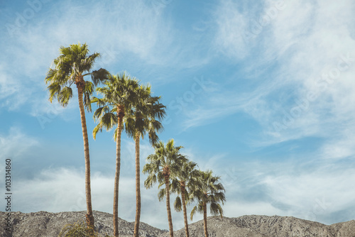 Palm Springs Vintage Mountains Palm Trees and Sky.  Vintage style image meant to portray the re-birth of Palm Springs and it's modernism and style.