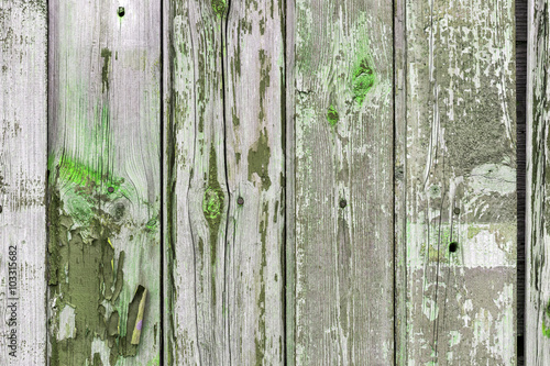 The old green wood texture with natural patterns © madredus