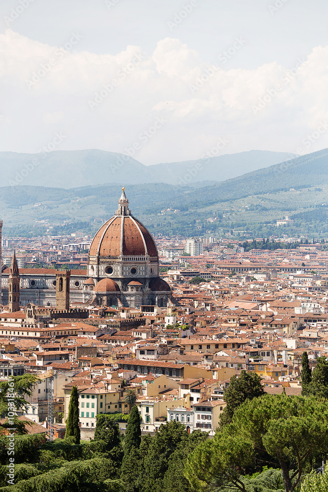 Obraz premium Panoramic view of Florence