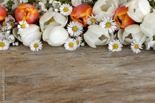 Fototapeta Naklejka Na Ścianę i Meble -  Tulpen mit Textfreiraum