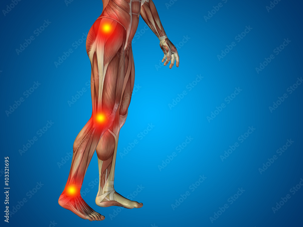 Obraz premium Conceptual human body anatomy articular pain blue background