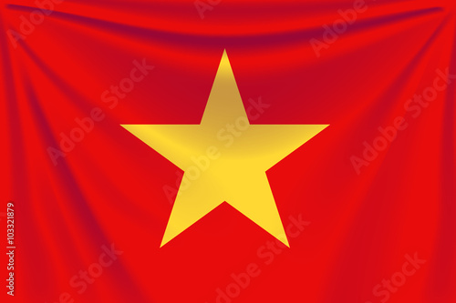 back flag vietnam
