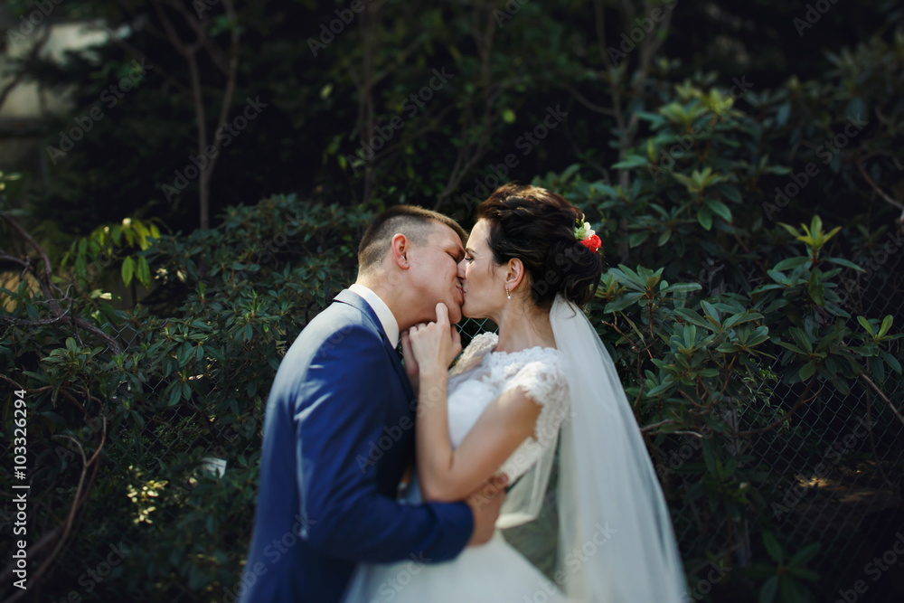Happy couple of newlyweds, bride and groom kissing & hugging in Happy couple of newlyweds, bride and groom kissing & hugging in