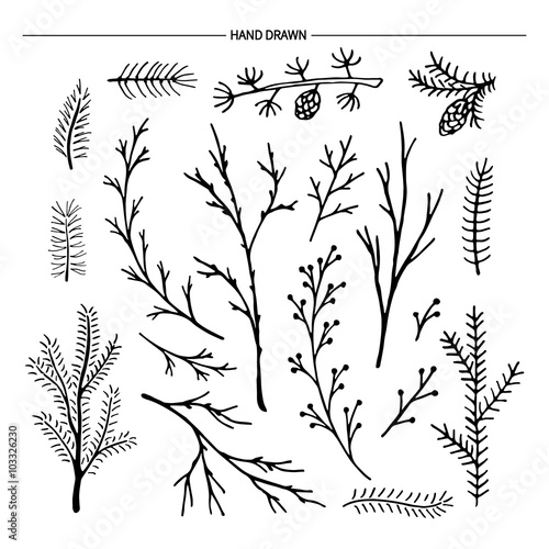 Hand drawn tree branches collection.