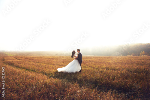 Romantic fairytale newlywed couple hug & pose in field at sunset