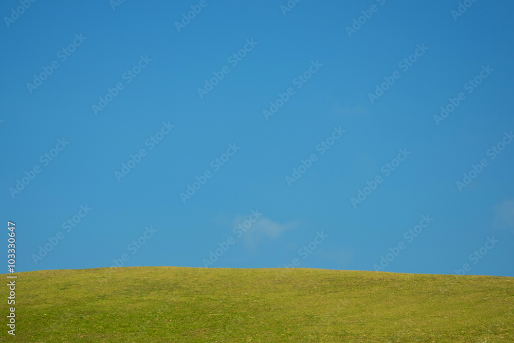Green grass with empty blue sky
