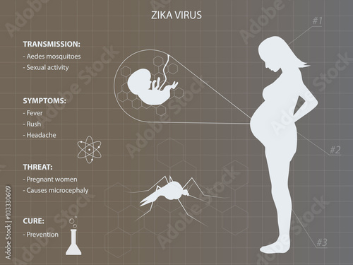 Zika virus infographic with pregnant woman