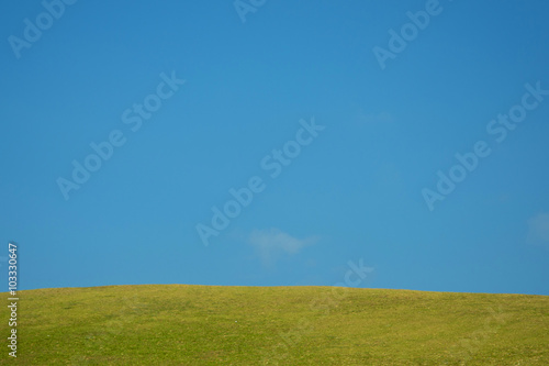 Green grass with empty blue sky