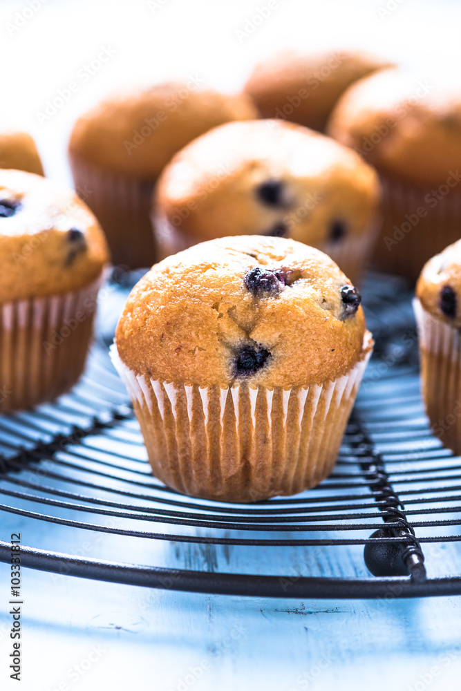 Homemade blueberry myffins on cooling tray Homemade blueberry myffins on cooling tray