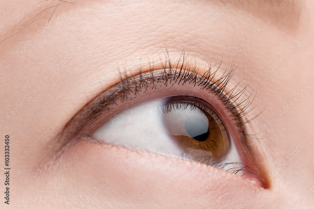 Obraz premium Macro Female Eye