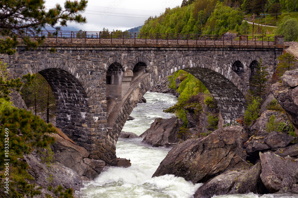 Fototapeta premium arched bridge